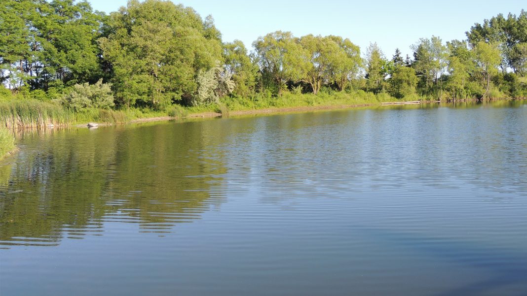Markham Toogood Pond Park
