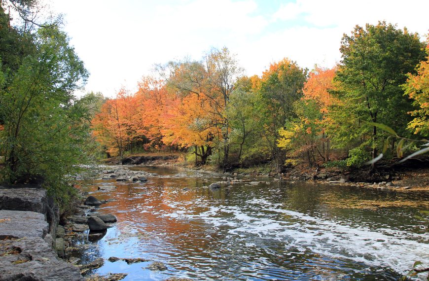 Colours of Fall Photo Gallery